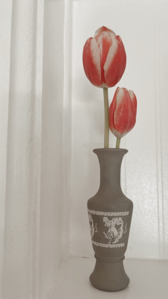 Bud vase with a tulip in it 