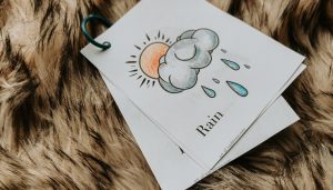 rain flash card
