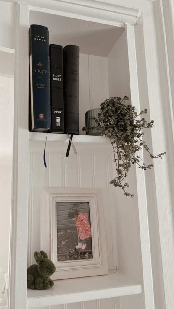 More book shelves and picture framed with a hanging plant
