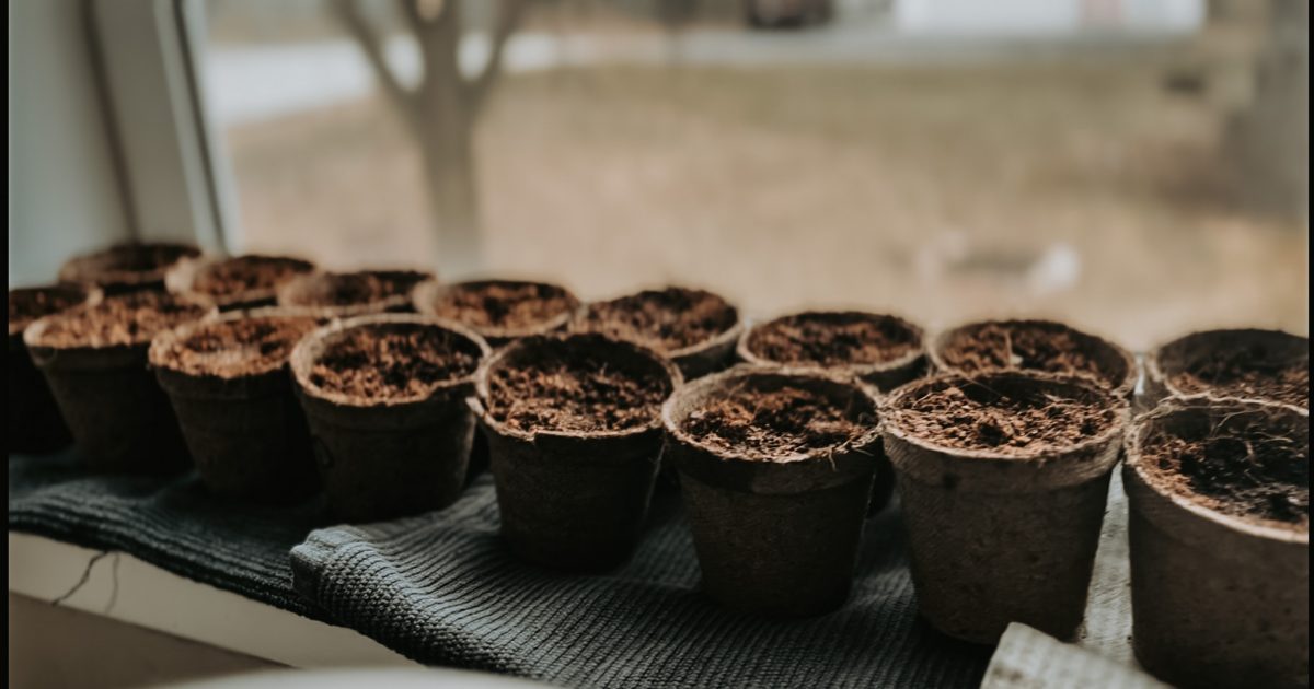 Seed starter containers for garden